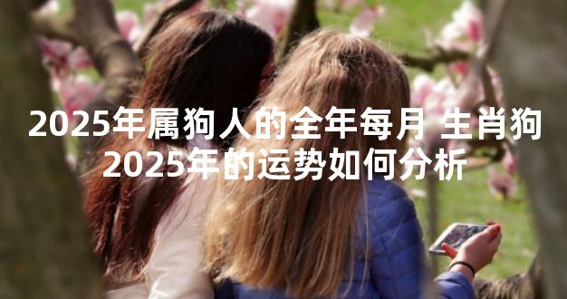 2025年属狗人的全年每月 生肖狗2025年的运势如何分析
